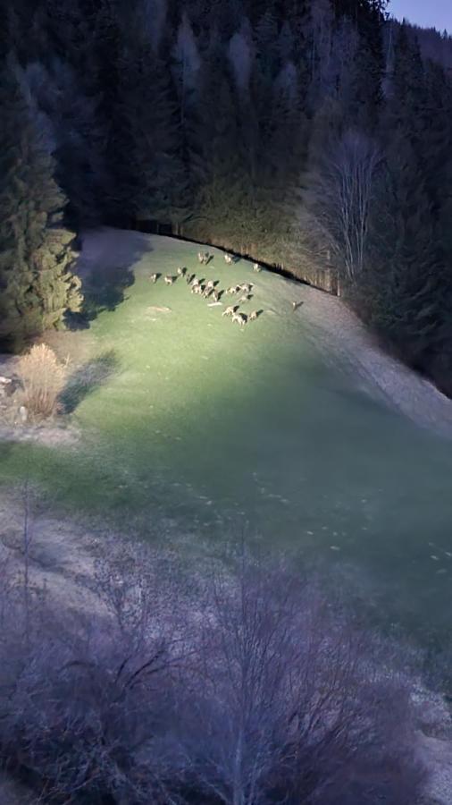 Ferienwohnungen Rabensteiner Bad Kleinkirchheim Ngoại thất bức ảnh