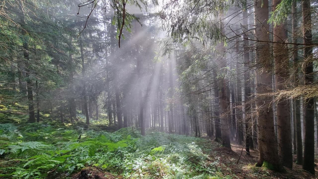 Ferienwohnungen Rabensteiner Bad Kleinkirchheim Ngoại thất bức ảnh